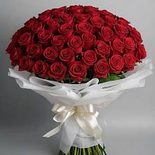 Букет 101 Красная роза Блэк Мэджик в Новосельцево
