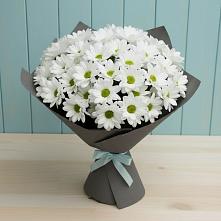 Букет цветов из:  Хризантемы #REPLACE_PRED# Новосельцево