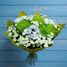 Букет цветов из:  Хризантемы #REPLACE_PRED# Новосельцево