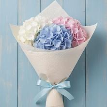 Букет цветов из:  Гортензия в Новосельцево