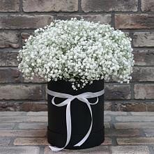 Цветочная композиция из Гипсофила в шляпной коробке в Новосельцево