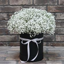 Цветочная композиция из Гипсофила в шляпной коробке в Новосельцево