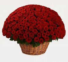 Премиум букет из: Розы в Новосельцево