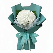 Букет цветов из:  Гортензия #REPLACE_PRED# Новосельцево